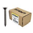 Ver imagem 1 de Parafuso Inox Auto Atarraxante Chata Phillips Stein 3,9x32 Caixa com 200 Peças