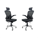 Ver imagem 1 de Kit com 2 Cadeiras para Escritório Modelo Presidente Oc 300 Cor Preto