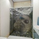Ver imagem 1 de Adesivo de Box Foca Mergulhando