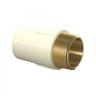 Tigre Aquatherm Conector 42mmx11/2 - 1