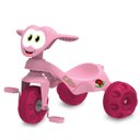 Ver imagem 1 de Triciclo Zootico Passeio & Pedal:rosa