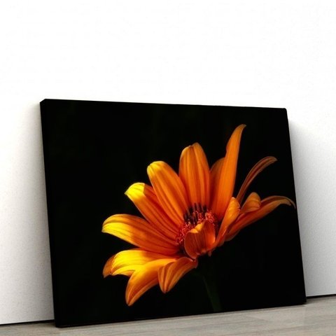 Quadros Decorativos de Pvc 036 - 40 X 60 Cm