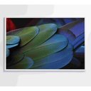 Ver imagem 2 de Quadro Penas Verdes 60x40 Cm Adesivo Fotográfico