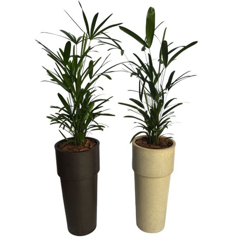 Kit 2 Vaso Plantar Lux 65x30 Decoração Hall Entrada Jardim Design Elegante