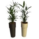 Ver imagem 1 de Kit 2 Vaso Plantar Lux 65x30 Decoração Hall Entrada Jardim Design Elegante