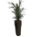 Ver imagem 3 de Kit 2 Vaso Plantar Lux 65x30 Decoração Hall Entrada Jardim Design Elegante