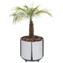 Ver imagem 1 de Cachepô Tramontina Belt Color Inox 50cmx49cm