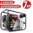 Ver imagem 2 de Bomba De Água Limpa Kawashima Serie E GW300B À Gasolina 4T 7HP Autoescorvante Partida Manual