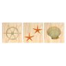 Kit 3 Quadros para Decoração Praia Estrela do Mar Cozinha - 1