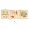 Kit 3 Quadros para Decoração Praia Estrela do Mar Cozinha - 5