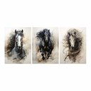 Ver imagem 3 de Kit 3 Quadro Decorativo Cavalo Branco Animal Placa Equino 28x20cm