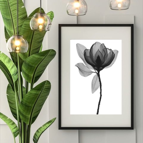 Quadro Minimalista Flor Transparente P&b - 60x48cm:madeira Preta