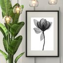 Ver imagem 1 de Quadro Minimalista Flor Transparente P&b - 60x48cm:madeira Preta