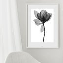 Ver imagem 2 de Quadro Minimalista Flor Transparente P&b - 60x48cm:madeira Preta