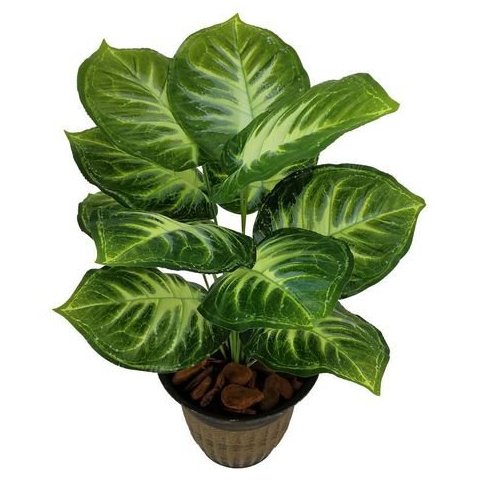 Árvores Planta Comigo Ninguém Pode 53cm artificial 12 Folhas