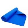 Tapete Yoga Ginastica  Academia PVC Esteira - Azul - 1