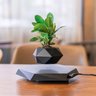 Vaso de Planta Magnetico Flutuante Levitaçao Gravidade Zero Base Hexagonal Flor Bonsai Suculenta Enf - 3