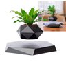 Vaso de Planta Magnetico Flutuante Levitaçao Gravidade Zero Base Hexagonal Flor Bonsai Suculenta Enf - 1