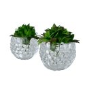 Ver imagem 1 de Dupla Vaso Cachepot em Vidro Alto Relevo 3D Decoração Casa