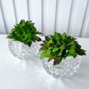 Ver imagem 4 de Dupla Vaso Cachepot em Vidro Alto Relevo 3D Decoração Casa