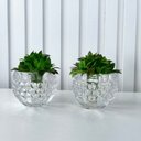 Ver imagem 2 de Dupla Vaso Cachepot em Vidro Alto Relevo 3D Decoração Casa