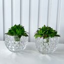 Ver imagem 3 de Dupla Vaso Cachepot em Vidro Alto Relevo 3D Decoração Casa