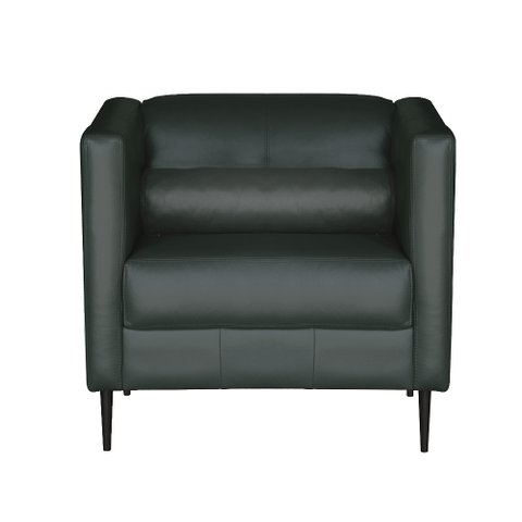 Poltrona Decorativa Pé De Ferro Iráklio Verde Couro - Gran Belo