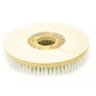 Escova para Limpeza de Tapetes e Carpetes 300 Mm com Flange para Enceradeiras Crismar - 2