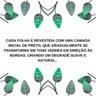 Porta Shampoo Rústico em Ferro Várias Cores:laranja - 7