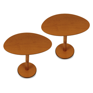 Kit Mesas Laterais Heming Design Orgânico para Sala de Estar