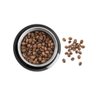 Moedor de Café Wap Aroma Wmc200 Duas Lâminas em Inox, Copo Removível e 200w de Potência 220v - 6