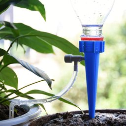 Kit 10 Peças Irrigadora de Planta Conta Gotas Automático - 5