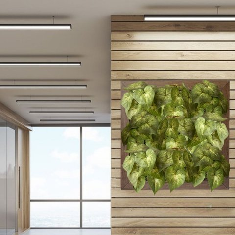 15 Folhagens de Singônio Artificial 30x30 para Compor e Dar Volumo em Arranjos e Quadros Florais