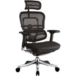 Cadeira Raynor Eurotech Ergochair V2 2016 Plus - 1
