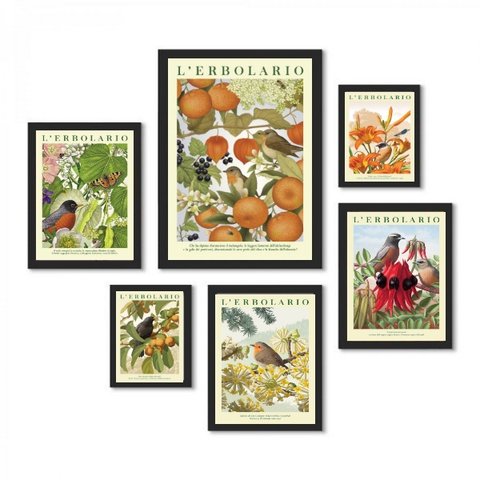 Kit 6 Quadros Passarinhos Flores e Frutos:moldura Branca