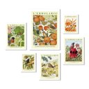 Ver imagem 2 de Kit 6 Quadros Passarinhos Flores e Frutos:moldura Branca