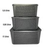 Kit 3 Caixas Organizadoras Tampa Rattan Retangular Plasnew - 3