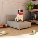 Ver imagem 1 de Cama Box Pet Cachorro Porte Menor 60 Cm Betoven Cores - Comprar Moveis em Casa: Bege