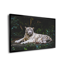 Ver imagem 2 de Quadro Tigre Branco -- BR ARTES