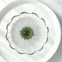 Ver imagem 2 de Infusor de Chá Bouquet V60-02 - 1-4 Cup - Hario