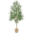 Ver imagem 1 de Arvore Grande Real Oliva Planta Oliveira 180cm Permanente