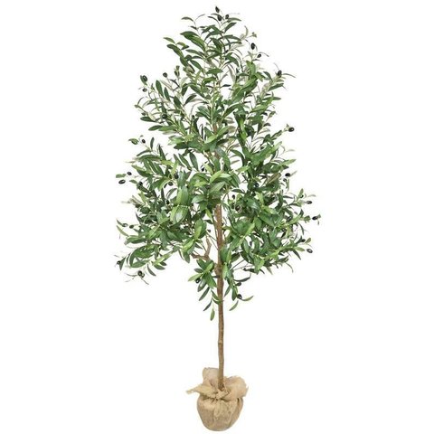 Arvore Grande Real Oliva Planta Oliveira 180cm Permanente