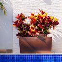 Ver imagem 4 de Jardineira Classic 80 Ferrugem (80l) Nutriplan