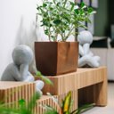 Ver imagem 3 de Jardineira Classic 80 Ferrugem (80l) Nutriplan