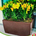 Ver imagem 2 de Jardineira Classic 80 Ferrugem (80l) Nutriplan
