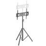 Suporte Tripé para Tv 32 a 55 Ctp400 - 6
