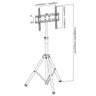 Suporte Tripé para Tv 32 a 55 Ctp400 - 2