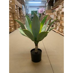 Planta Artificial Agave Suculenta para Decoração com 60cm - 9