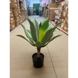 Planta Artificial Agave Suculenta para Decoração com 60cm - 11