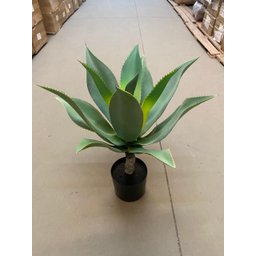 Planta Artificial Agave Suculenta para Decoração com 60cm - 7